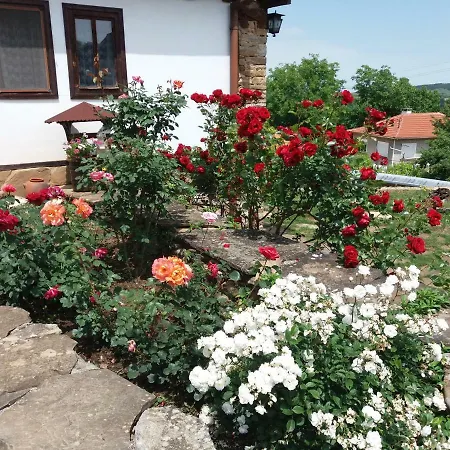 Balkandzhiyska House 招待所 *